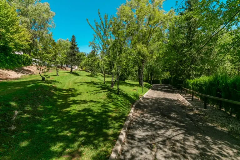 Paseo arbolado de Coto Moreno