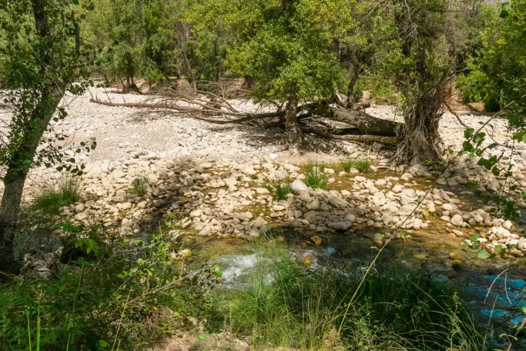 Arroyo junto a la finca