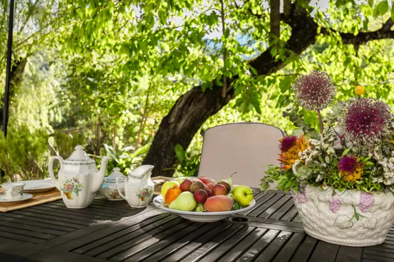 Comedor exterior cubierto